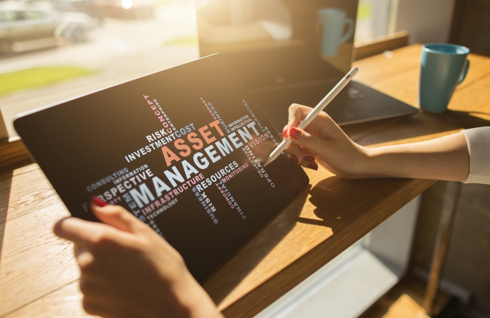 Asset Managers